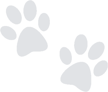 A pair of paw prints